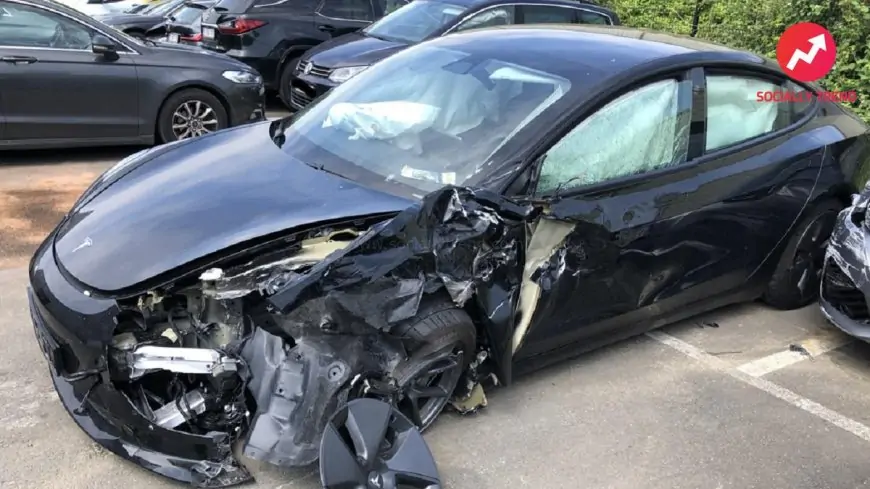 Know How a Tesla Model 3 Saved Life of Driver, His Pregnant Girlfriend and 4-Year Old Son; Elon Musk Says 'Safety Is Always the Primary Design Requirement'