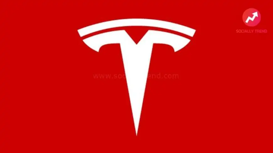 Tesla To Open Up Its Supercharger Network to Other EVs Later This Year, Confirms CEO Elon Musk