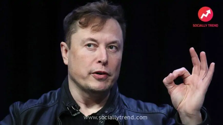 Tesla Is Worth $3,000 a Share ‘If They Execute Really Well’, Says Elon Musk