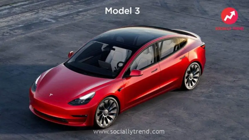 Elon Musk’s Tesla Hike Prices of Model 3 and Model Y for Rear Wheel Drive Variant in China
