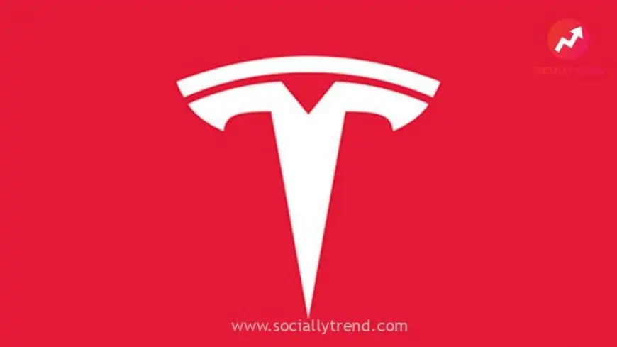 EV Maker Tesla Officially Enters Turkish Market: Report