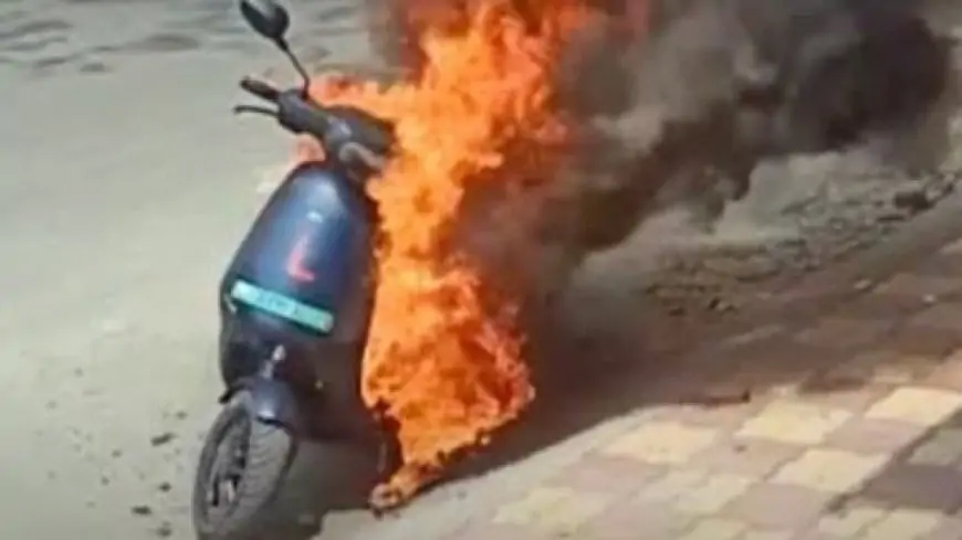Ola Scooter Torched by Owner in Tamil Nadu Due to Poor Mileage and Unsatisfactory Service by the Manufacturer (Watch Video)