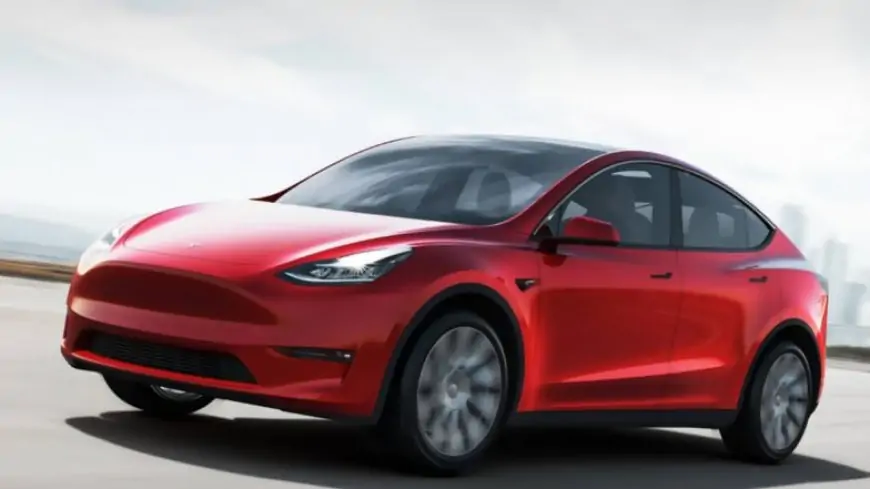 Elon Musk-Owned Tesla's Model Y Catches Fire While Driving in Canada: Report