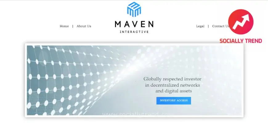 Maveninteractive.com: An Efficient Organization for Investing in Digital Assets.