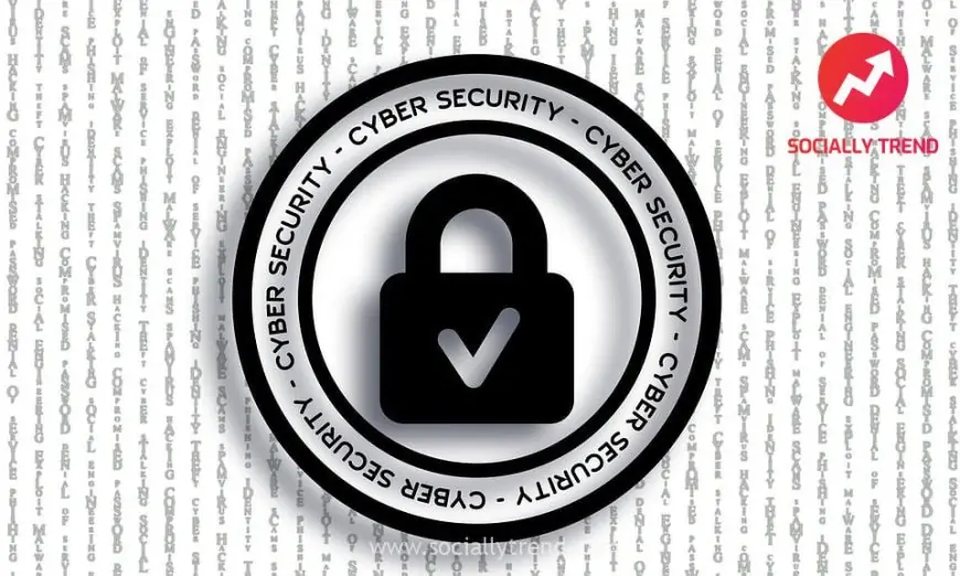 Why Consider Cyber Security Career and Training