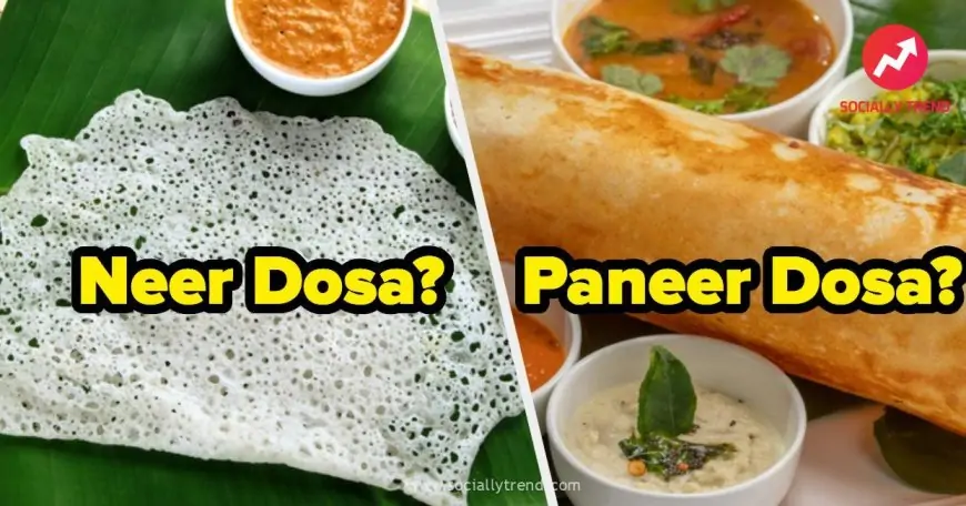 If You&#039;ve Eaten 26/38 Of These Dishes, You&#039;re Unconditionally And Irrevocably In Love With Dosa