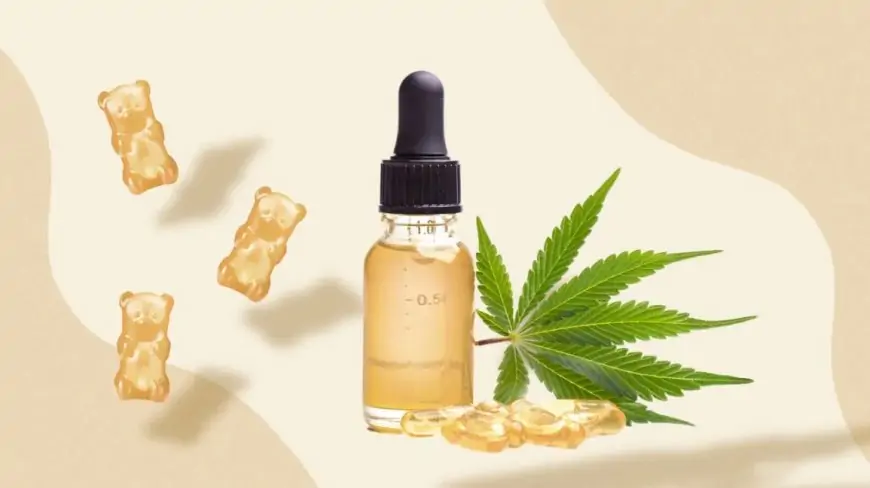 CBD Vape Oil and Dosage- What to know?