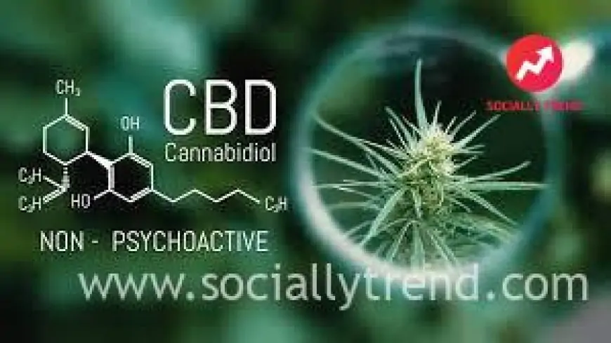 Guide to Integrating CBD into Your Everyday Life