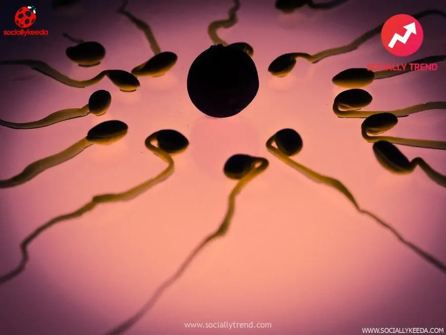 Remedies for Male Infertility Issues!