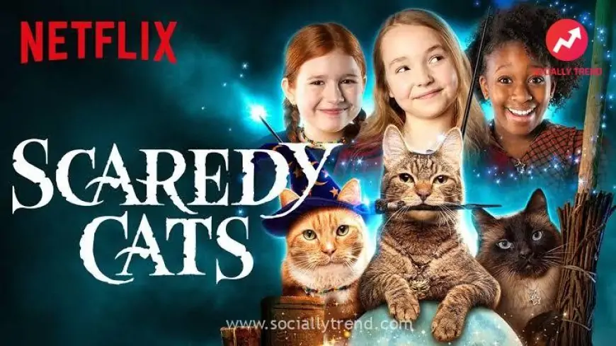 Download Scaredy Cats Season 1 2021 {Hindi-English} Dual Audio Web Series NF Web-DL 480p 720p 1080p | Direct & Drive Links