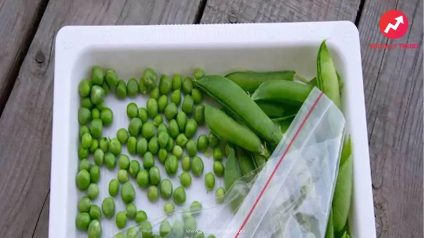 5 Reasons You Should Start Including Wonder Vegetable Green Peas in Your Diet