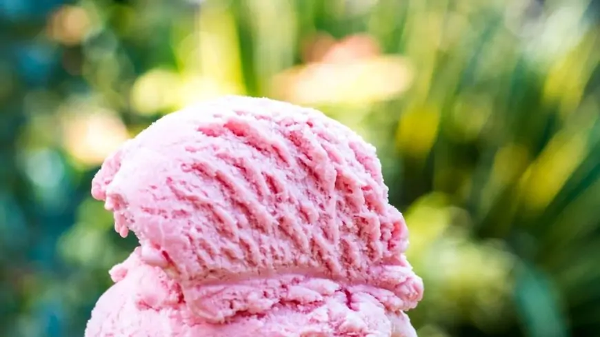 Industrial Ice Cream or Artisanal Ice Cream, Which Is Healthier