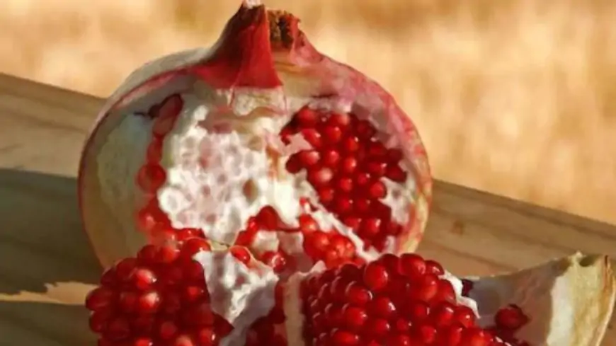 Know Importance of Pomegranate in Ancient Cultures