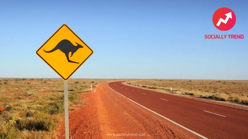 Five Road trips In Australia That You Must Undertake