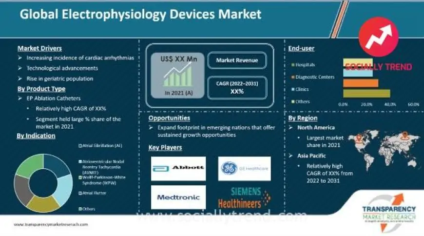 Electrophysiology Market Size, Share, Growth, Trends, Global Industry Analysis Forecast to 2028
