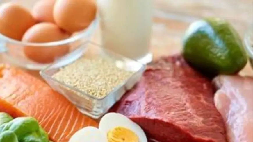 Here’s How You Can Effectively Include More Protein To Your Diet