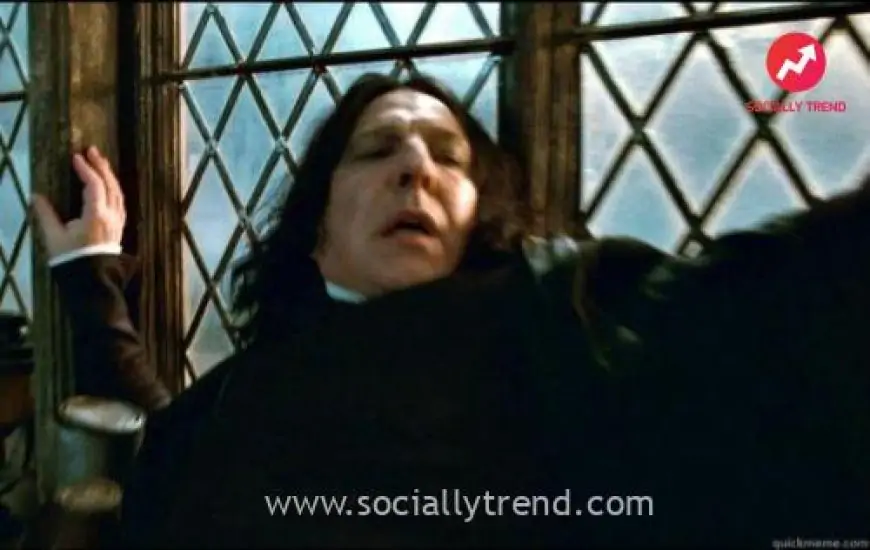 Harry Potter Professor Snape Arey Betic**d