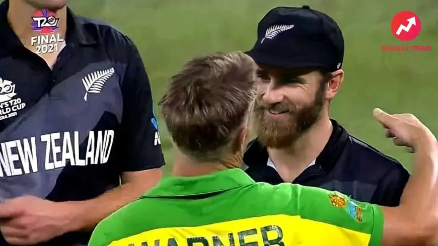 Kane Williamson smiling after world cup final loss
