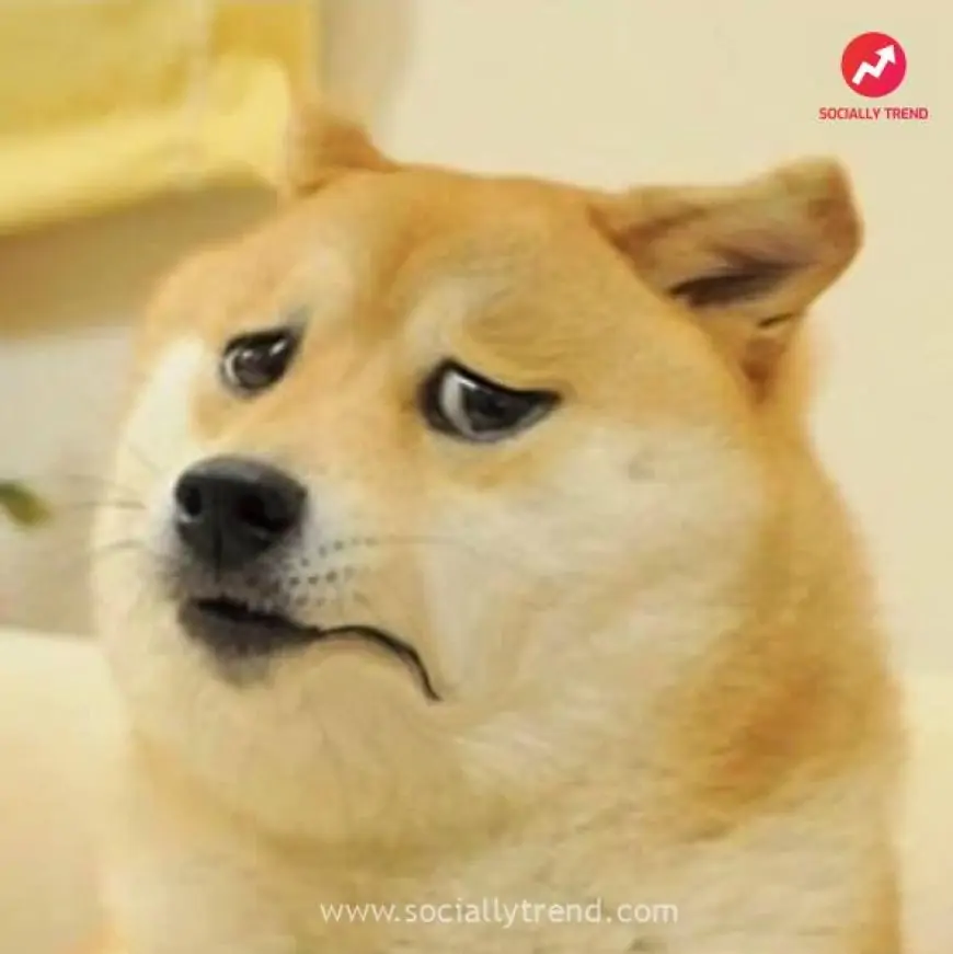 Unhappy Doge