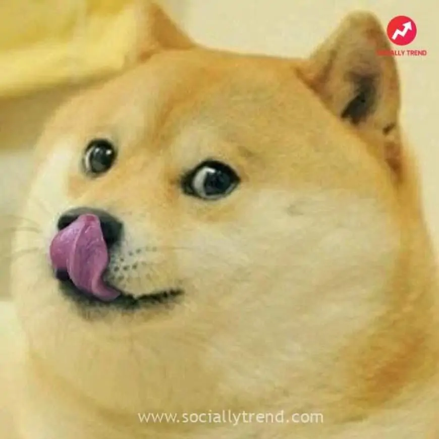Licking Doge