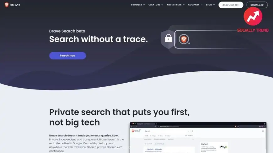 Brave Search search engine review