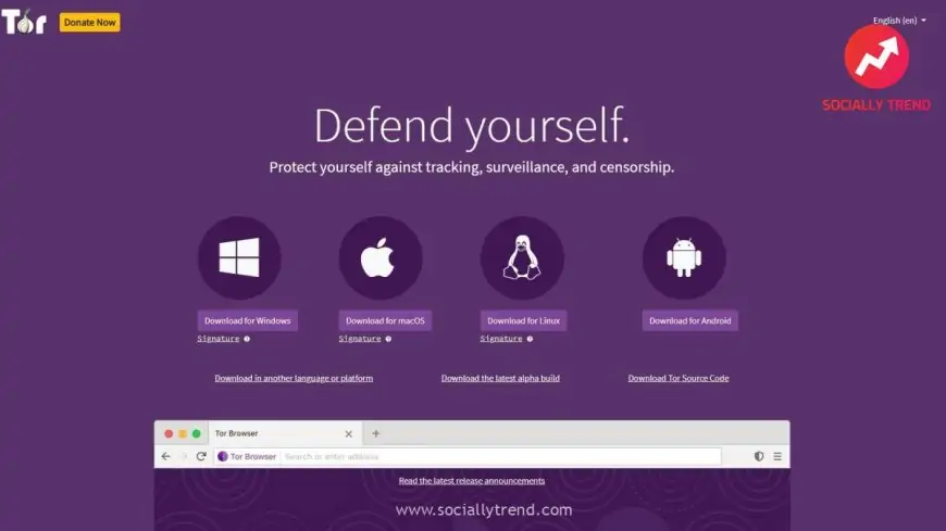 Tor Browser review | SociallyTrend