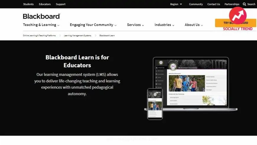Blackboard Learn review | SociallyTrend