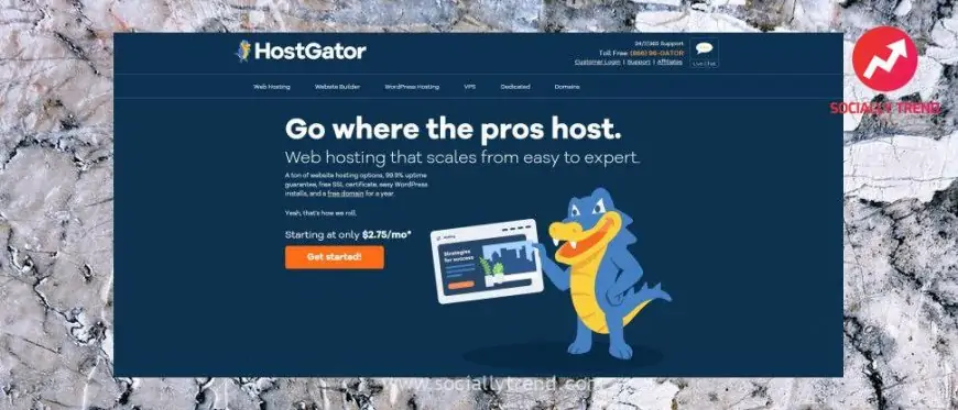 HostGator Web Hosting review | TechRadar