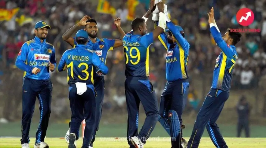 Sri Lanka Beat Netherlands By Eight Wickets In T20 World Cup 2021 Round 1