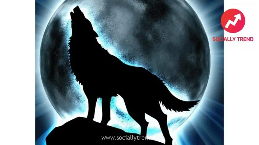 Our Top 20+ Best Anime Werewolf