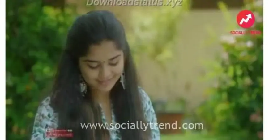 Vellai Poove Malayalam Status Video - WhatsApp Status Video Download | Best Video Status