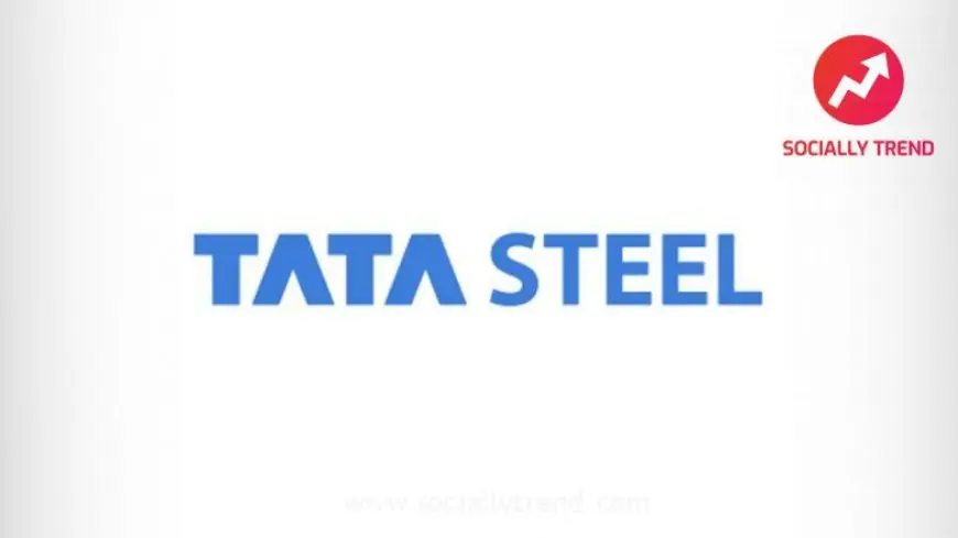 Tata Group Chief Natarajan Chandrasekaran Warns of UK Steel Plant Closures Without British Govt Subsidy Deal