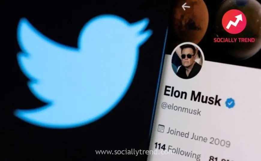 Elon Musk Accuses Twitter Of Fraud In Buyout Deal, Reveals Court Filing