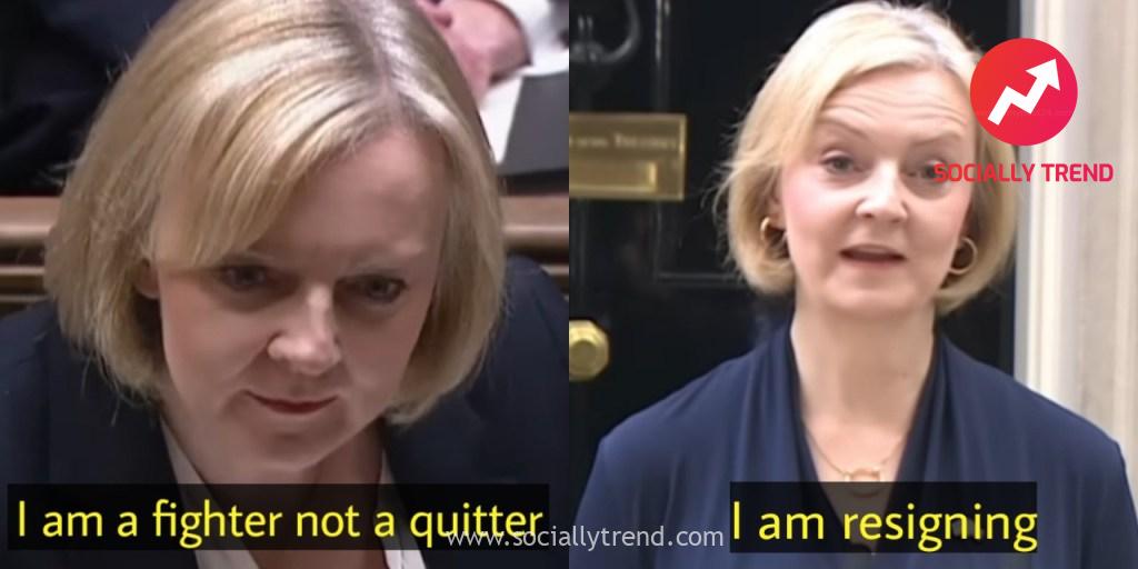 I am a fighter not a quitter I am resigning Liz truss meme template