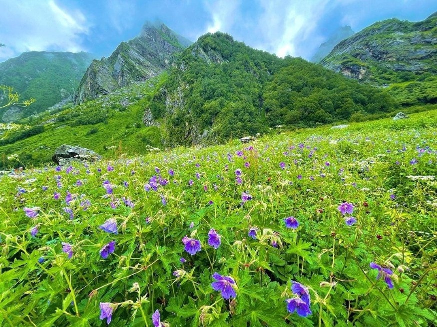 Valley of Flowers in Uttarakhand. (Image: Shutterstock)